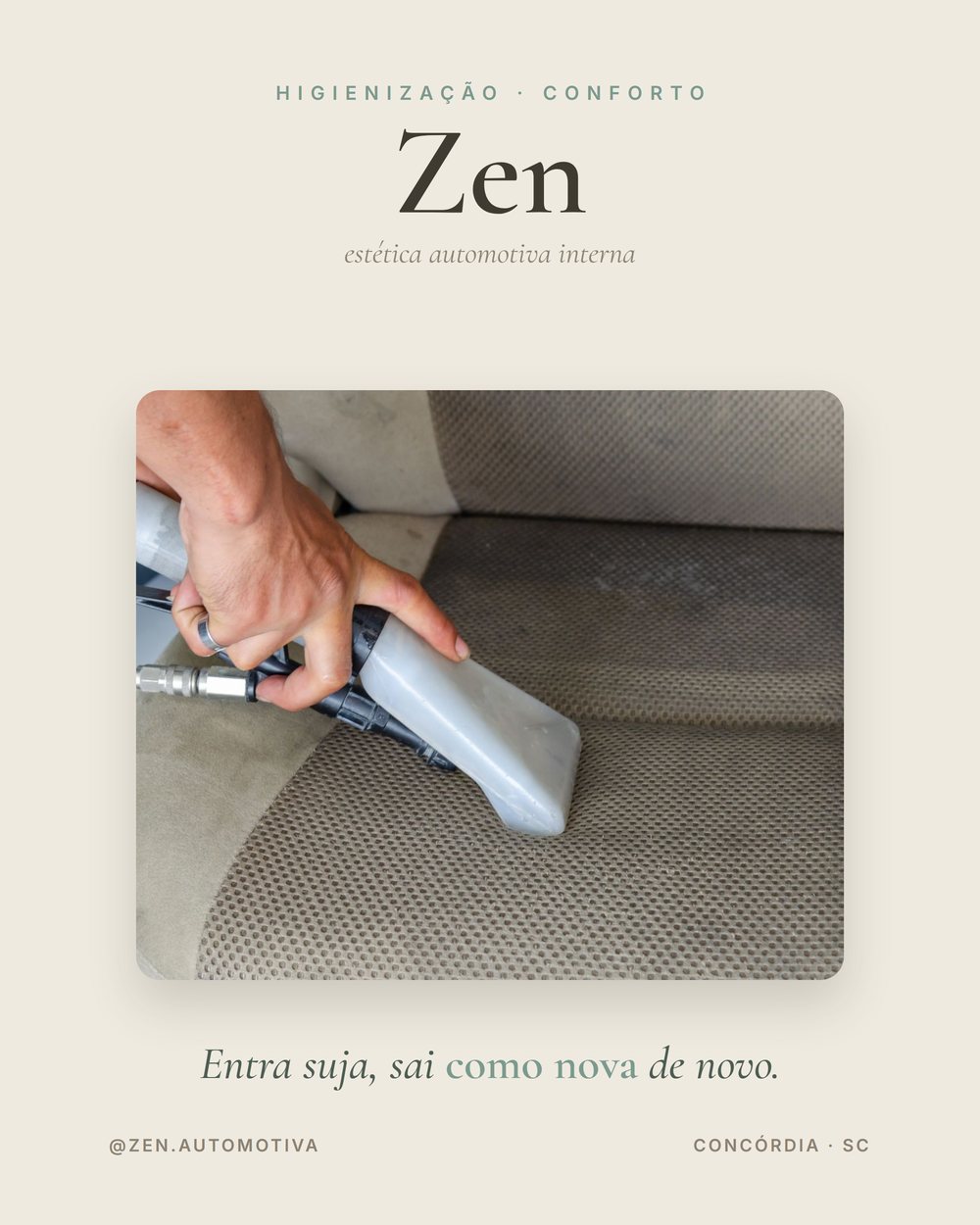 Higienização Interna