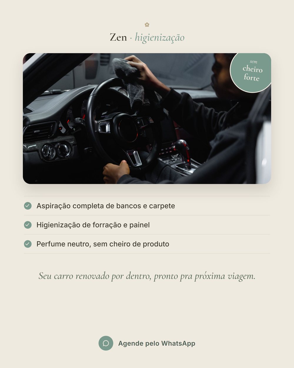Higienização Interna